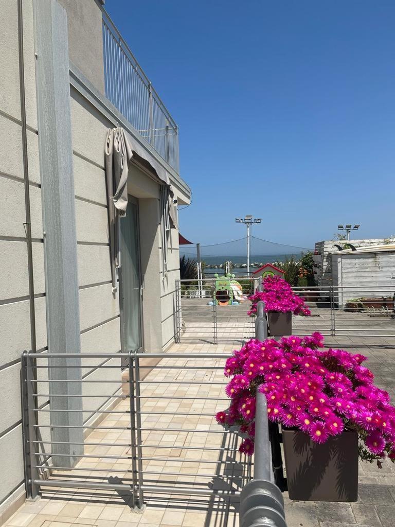 Hotel & Cavalluccio Marino 3*